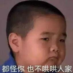 娱乐八卦最新爆料图片表情包